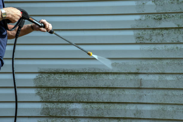 Local Pressure Washing Services in Keystone, FL